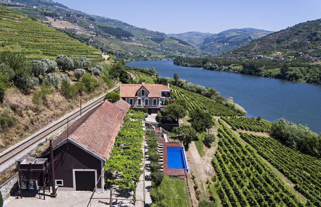 Quinta De S. Bernardo Winery & Farmhouse - Foto 27