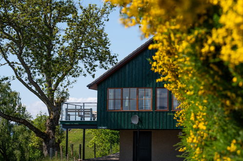 Foto 1 - Casa de 3 quartos em Inverness com jardim e vista para a montanha