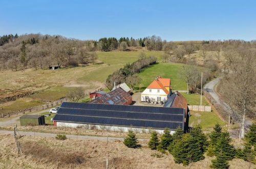 Foto 9 - Casa con 14 camere da letto a Randbøl con terrazza