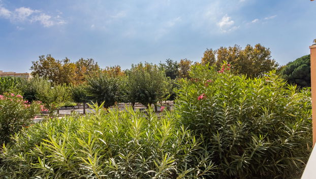 Apartamento de 2 quartos em Le Lavandou com jardim e terraço - Foto 5