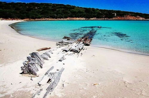 Photo 34 - Appartement de 1 chambre à La Maddalena avec terrasse et vues à la mer