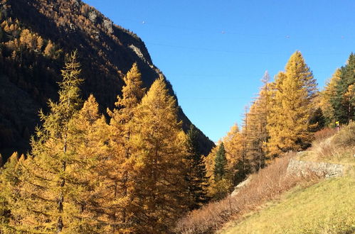 Photo 12 - 2 bedroom Apartment in Saas-Grund with garden and mountain view