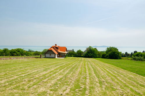 Foto 42 - Casa con 2 camere da letto a Badacsonytomaj con vista mare