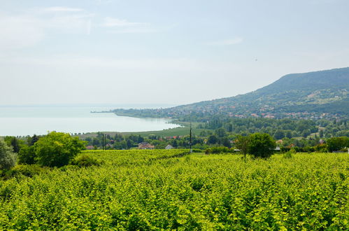 Foto 44 - Casa con 2 camere da letto a Badacsonytomaj con vista mare