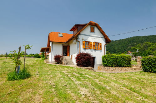 Photo 37 - Maison de 2 chambres à Badacsonytomaj