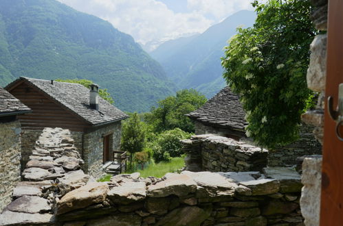 Photo 22 - 2 bedroom House in Serravalle with garden and mountain view