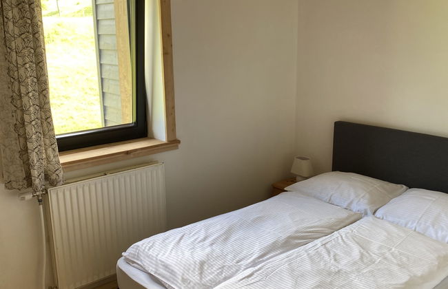 Apartamento de 5 quartos em Grünau im Almtal com jardim - Foto 21