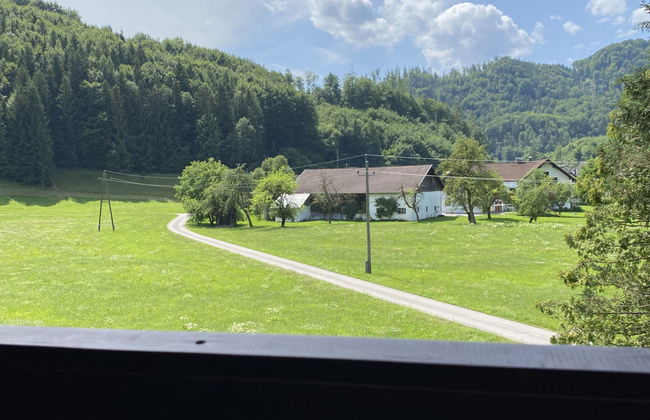 Apartamento de 5 quartos em Grünau im Almtal com jardim - Foto 30
