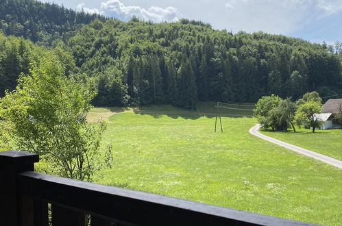 Foto 24 - Apartamento de 4 quartos em Grünau im Almtal com vista para a montanha