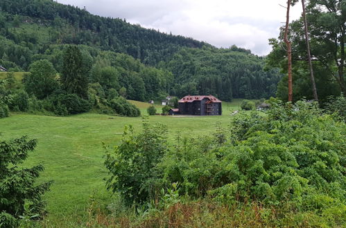 Foto 32 - Appartamento con 4 camere da letto a Grünau im Almtal con vista sulle montagne