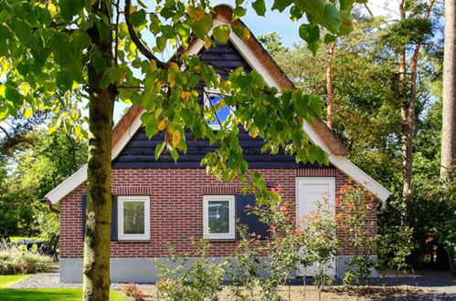 Photo 1 - Maison de 3 chambres à Otterlo avec piscine et terrasse