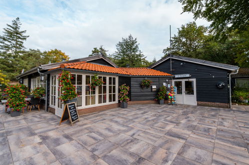 Photo 18 - Maison de 3 chambres à Dwingeloo avec piscine et terrasse