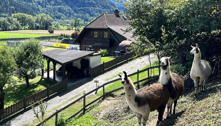 Foto 1 - Casa con 3 camere da letto a Niederwölz con terrazza e vista sulle montagne