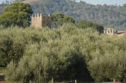 Foto 49 - Podere Caldaruccio La Pineta - Torretta