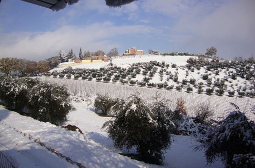 Foto 43 - Podere Caldaruccio La Pineta - Torretta