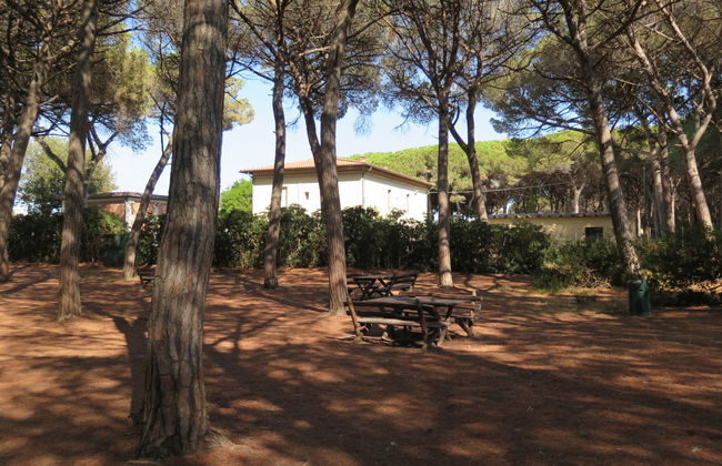 Apartamento de 2 quartos em Rosignano Marittimo com piscina e jardim - Foto 18