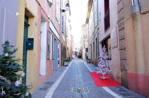 Foto 40 - Haus mit 1 Schlafzimmer in Roquebrune-sur-Argens mit schwimmbad und garten