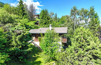 Foto 3 - Casa de 3 habitaciones en Nendaz con jardín