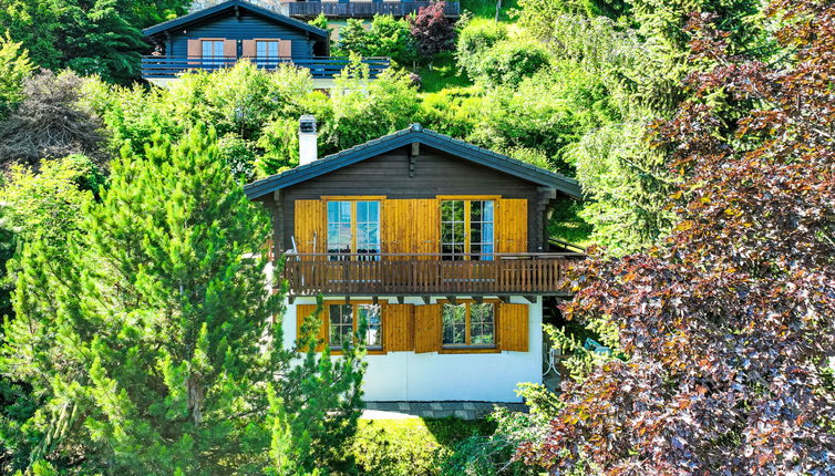 Foto 1 - Casa de 3 habitaciones en Nendaz con jardín