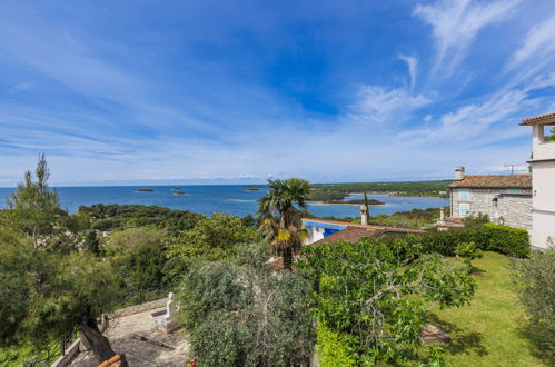 Foto 40 - Casa con 2 camere da letto a Vrsar con vista mare