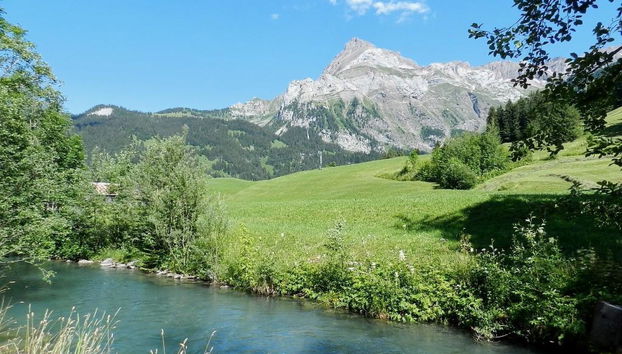 Apartment mit 3 Schlafzimmern in Gsteig - Foto 5