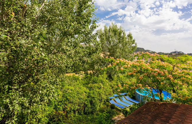 Haus mit 5 Schlafzimmern in Tortoreto mit privater pool und garten - Foto 22