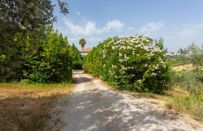 Haus mit 5 Schlafzimmern in Tortoreto mit privater pool und garten - Foto 18