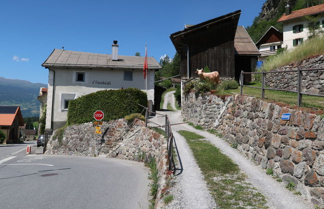 Apartamento de 2 quartos em Albula/Alvra com jardim - Foto 16