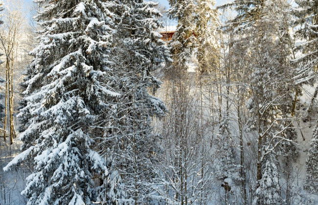 3 bedroom Apartment in Saanen - Photo 22