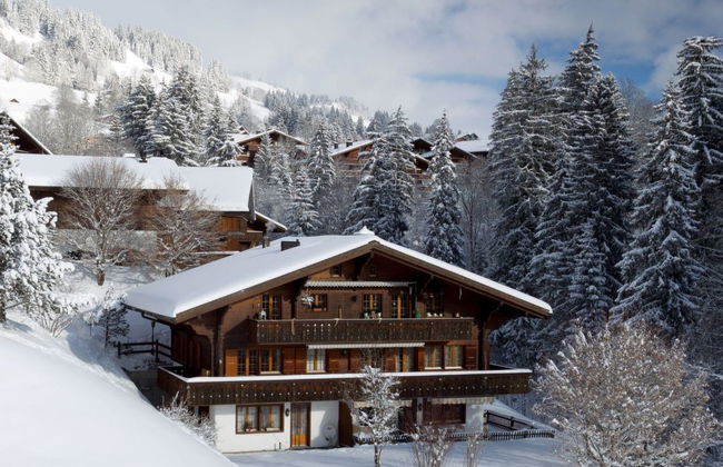 3 bedroom Apartment in Saanen - Photo 23