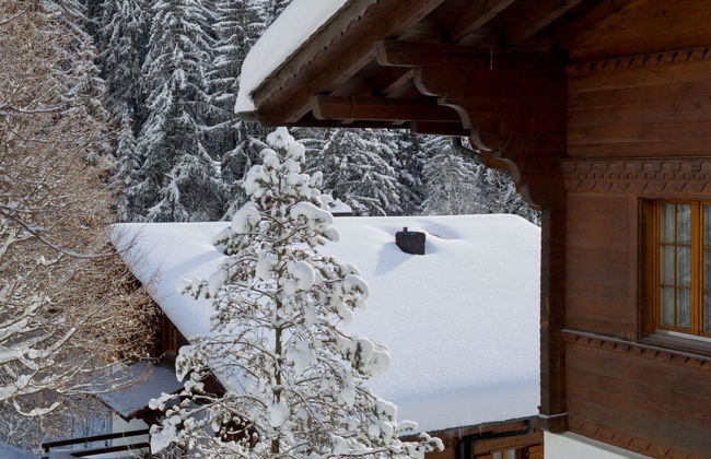 3 bedroom Apartment in Saanen - Photo 16