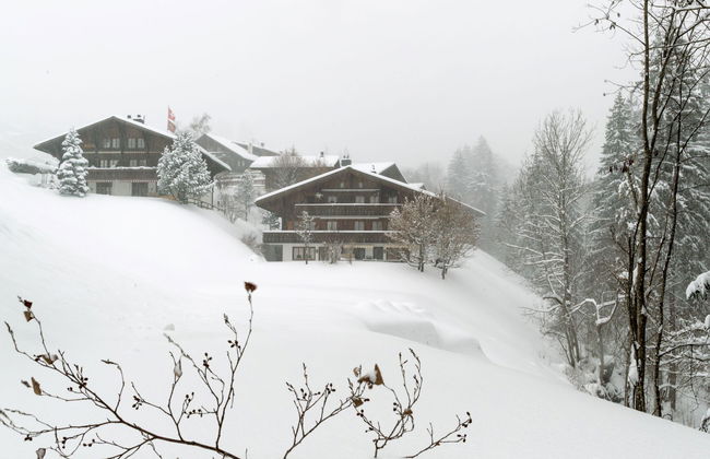 3 bedroom Apartment in Saanen - Photo 21