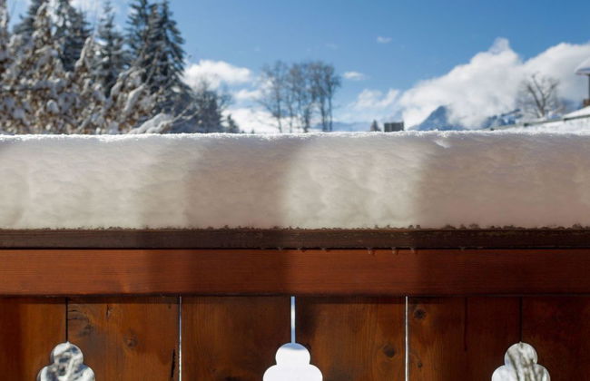 3 bedroom Apartment in Saanen - Photo 19
