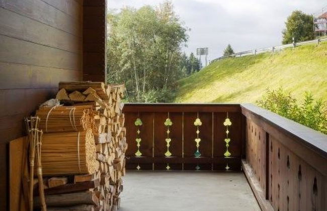3 bedroom Apartment in Saanen - Photo 10