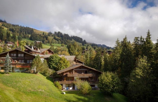 3 bedroom Apartment in Saanen - Photo 2