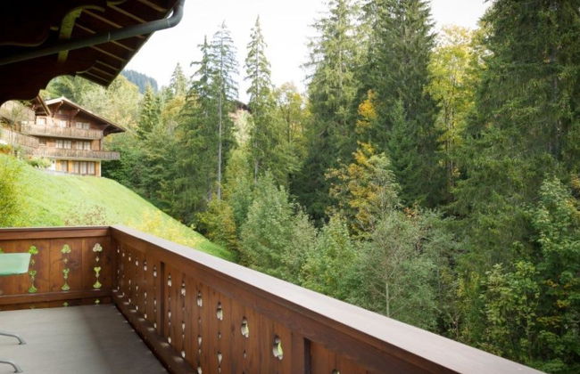 3 bedroom Apartment in Saanen - Photo 8