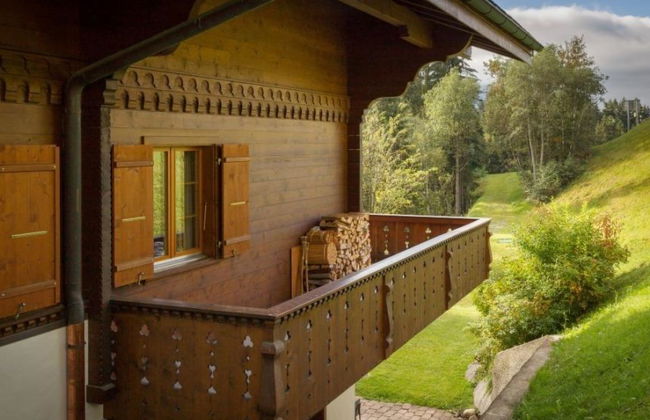 3 bedroom Apartment in Saanen - Photo 5