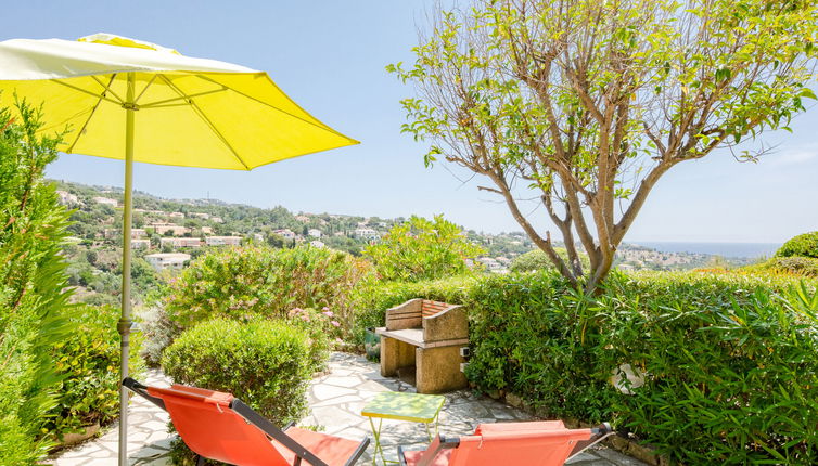 Photo 1 - Appartement de 1 chambre à Roquebrune-sur-Argens avec piscine et vues à la mer