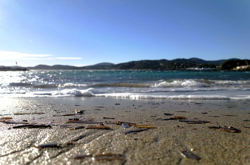 Photo 35 - Appartement de 1 chambre à Roquebrune-sur-Argens avec piscine et vues à la mer