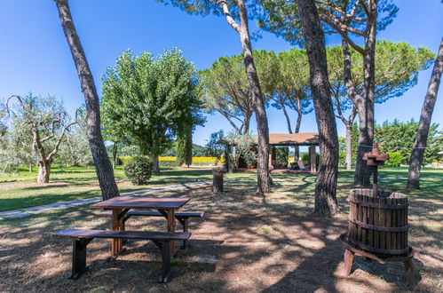 Foto 42 - Appartamento con 1 camera da letto a Suvereto con piscina e vista mare