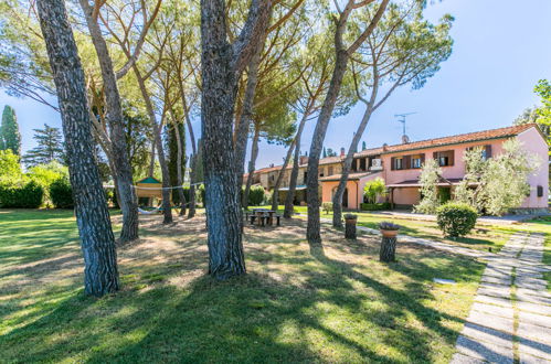 Foto 57 - Appartamento con 2 camere da letto a Suvereto con piscina e giardino