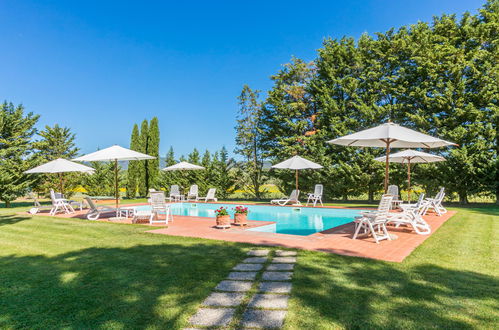 Photo 28 - Appartement de 1 chambre à Suvereto avec piscine et jardin