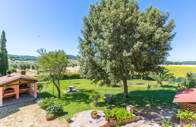 2 bedroom Apartment in Suvereto with swimming pool and garden - Photo 42