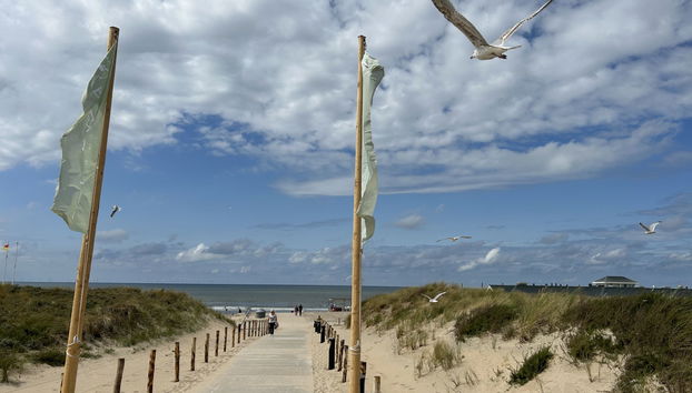 Casa de 5 quartos em Noordwijk com jardim e terraço - Foto 2