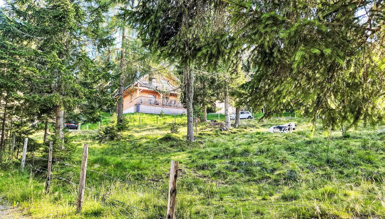 Casa de 5 quartos em Albeck com jardim e sauna - Foto 1