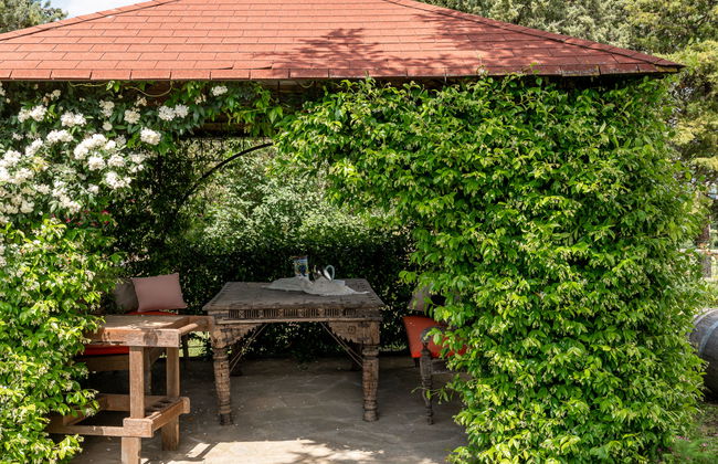 Maison de 4 chambres à Civitella Paganico avec piscine privée et jardin - Photo 52