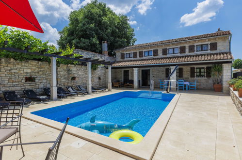 Foto 26 - Casa con 5 camere da letto a Sveti Petar u Šumi con piscina privata e giardino