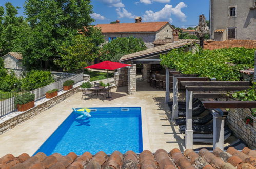 Foto 35 - Casa con 5 camere da letto a Sveti Petar u Šumi con piscina privata e giardino