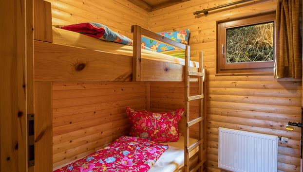 Casa con 5 camere da letto a Schönecken con giardino e terrazza - Foto 3