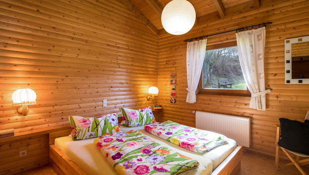 Casa con 5 camere da letto a Schönecken con giardino e terrazza - Foto 2